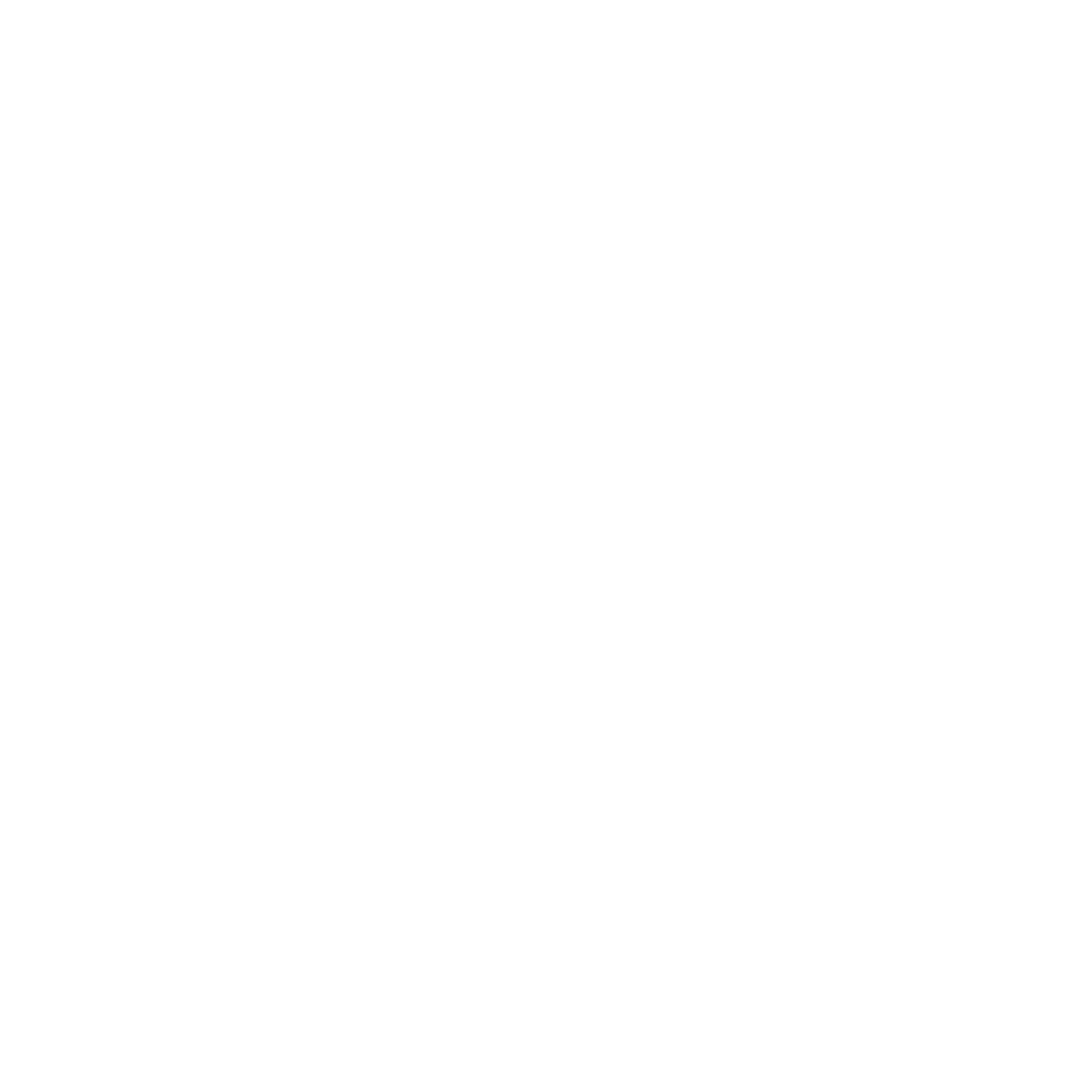 CAPA Logo